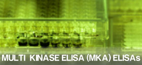 Multi Kinase ELISA Assay from Symansis