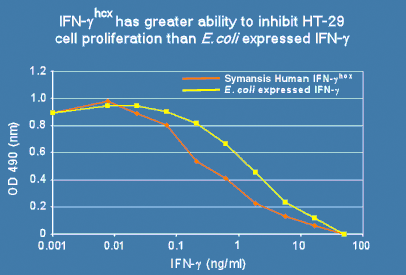 Symansis Human IFN-gamma has greater ability to inhibit HT-29 cell proliferation than E.coli expressed IFN-gamma