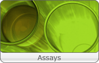 Assays