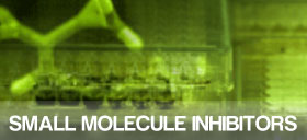 Small Molecule Inhibitors