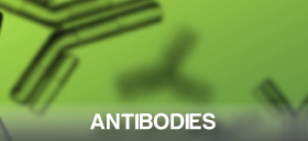 Antibodies from Symansis